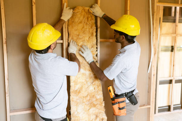 Best Wall Insulation Installation  in Minden, LA